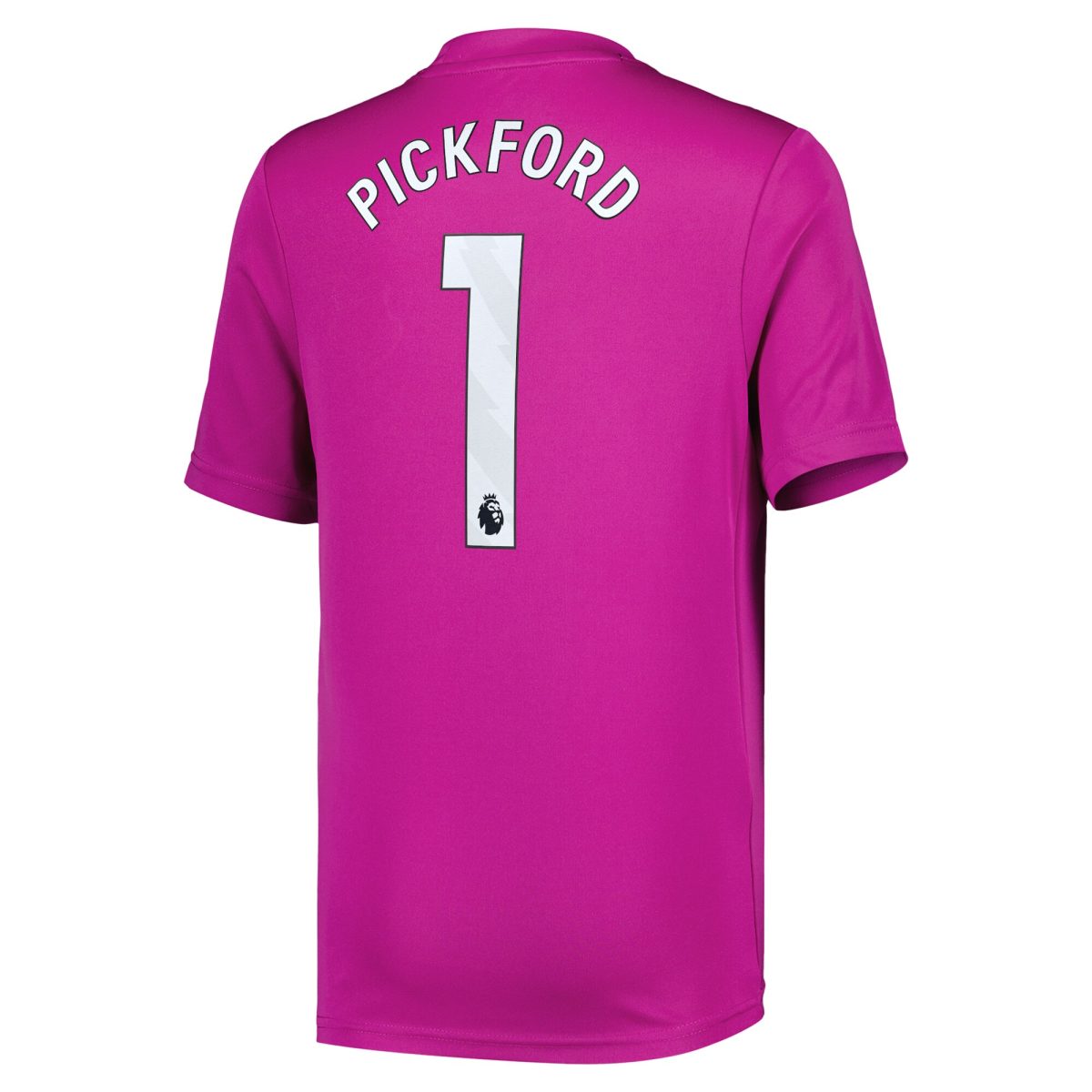 everton castore third goalkeeper shirt 2024-25 – kids with pickford 1 printing Collection | Everton FC Jerseys & Footwear