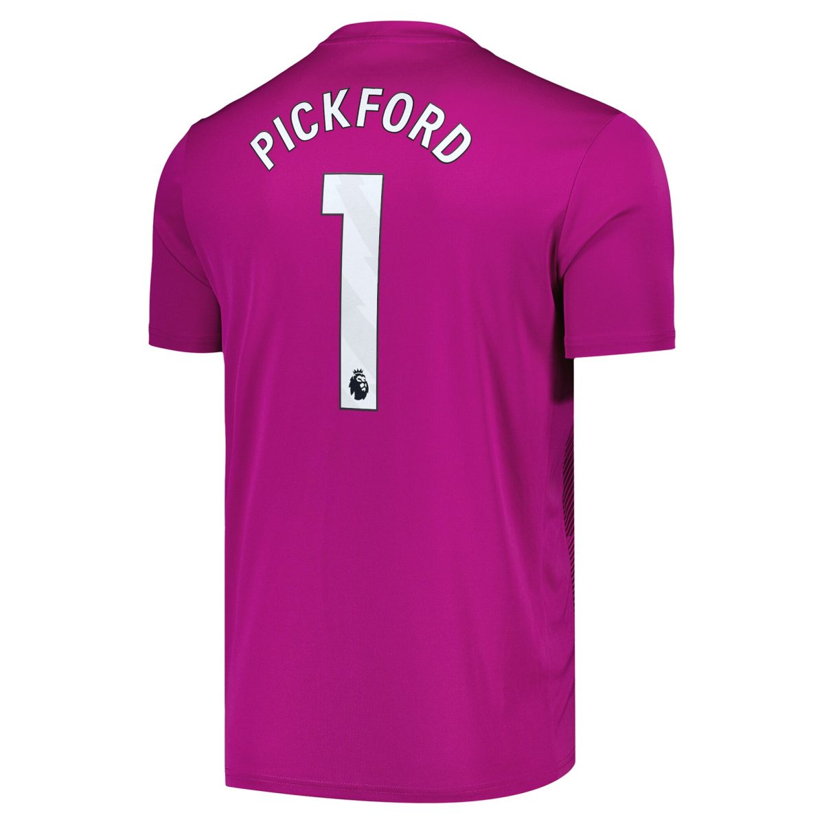 everton castore third goalkeeper shirt 2024-25 with pickford 1 printing Collection | Everton FC Jerseys & Footwear